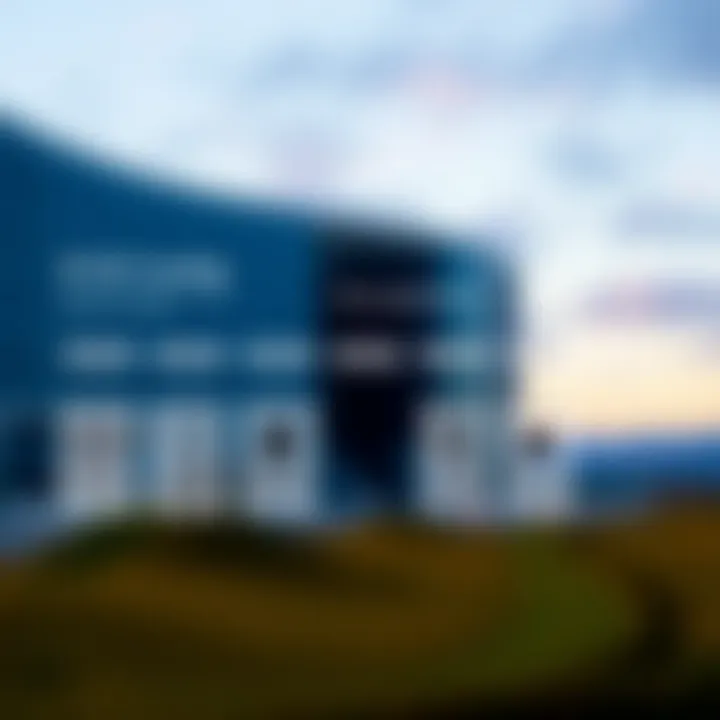 Diagram illustrating the flow and benefits of Ryze funding in South Africa